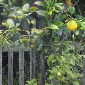 Taking notice of perfection...